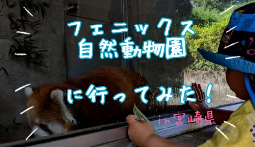 【宮崎遊び場】フェニックス自然動物園に行ってみた！